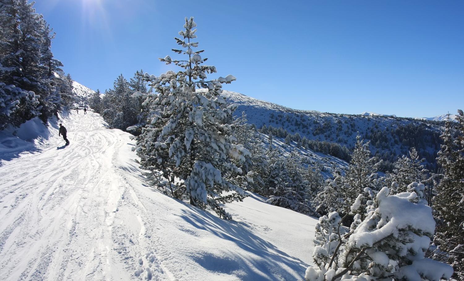Pm Services Borovets Garden Apartments ภายนอก รูปภาพ