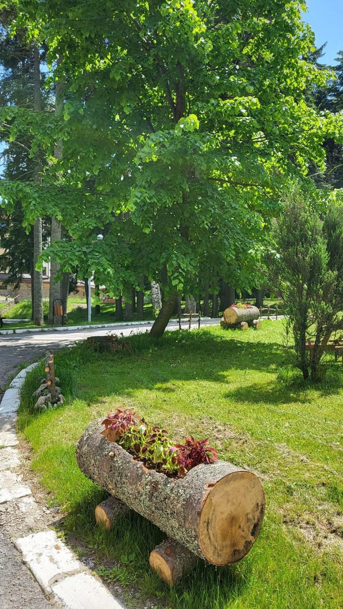 Pm Services Borovets Garden Apartments ภายนอก รูปภาพ