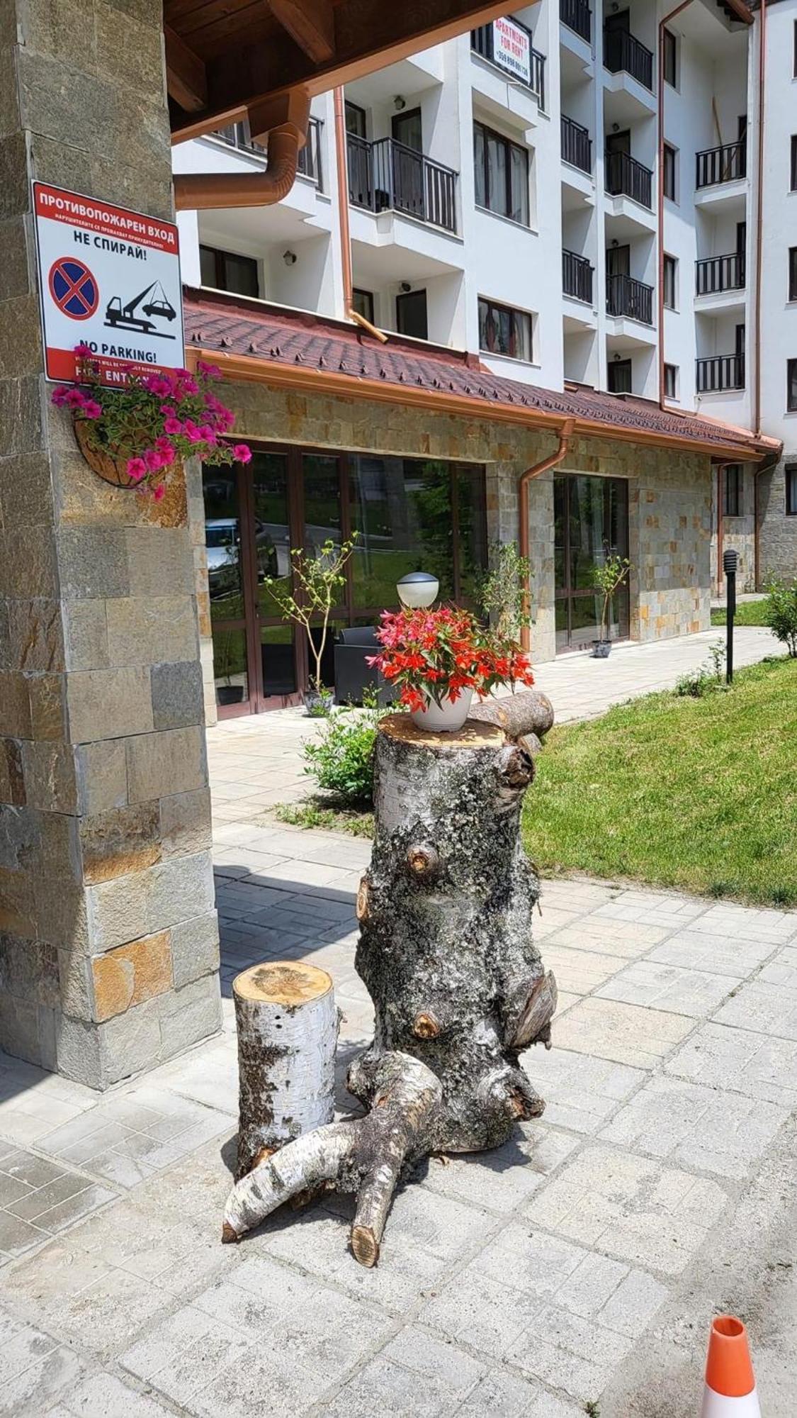 Pm Services Borovets Garden Apartments ภายนอก รูปภาพ